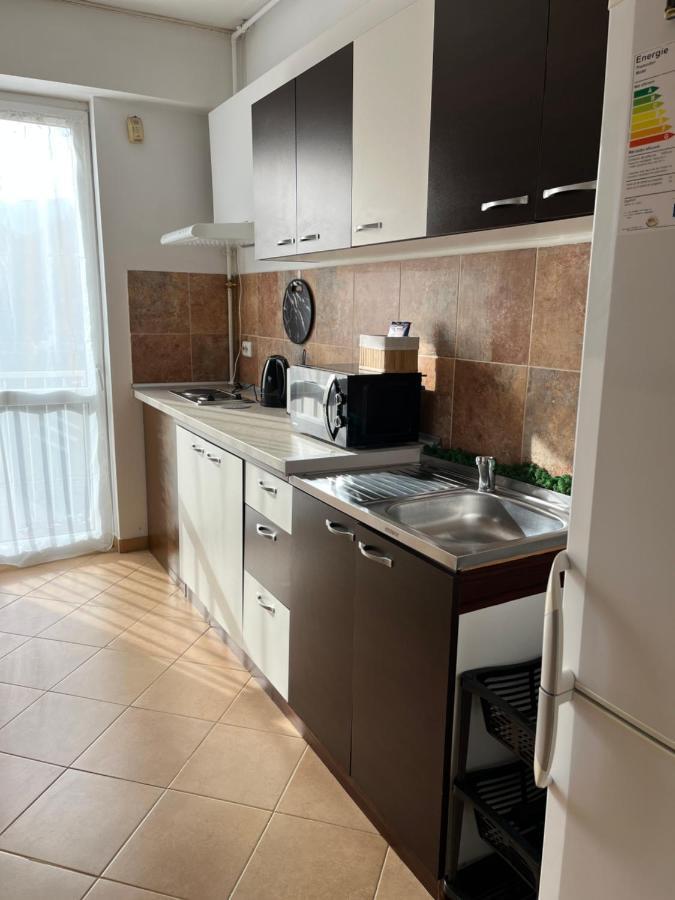 Anissia Apartament Apartment Sinaia Exterior photo